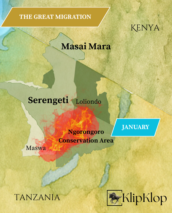 01 Great Migration Serengeti January