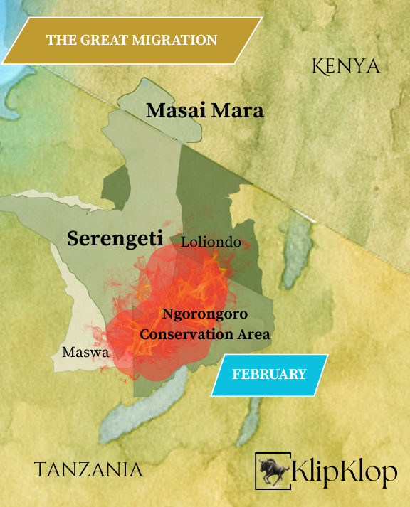 02 Great Migration Serengeti Feb