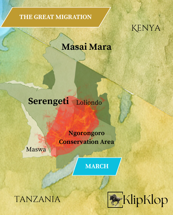03 Great Migration Serengeti March