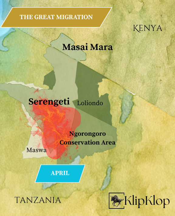 04 Great Migration Serengeti April