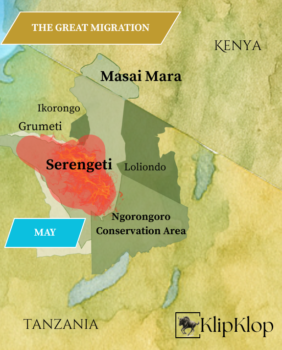 05 Great Migration Serengeti May