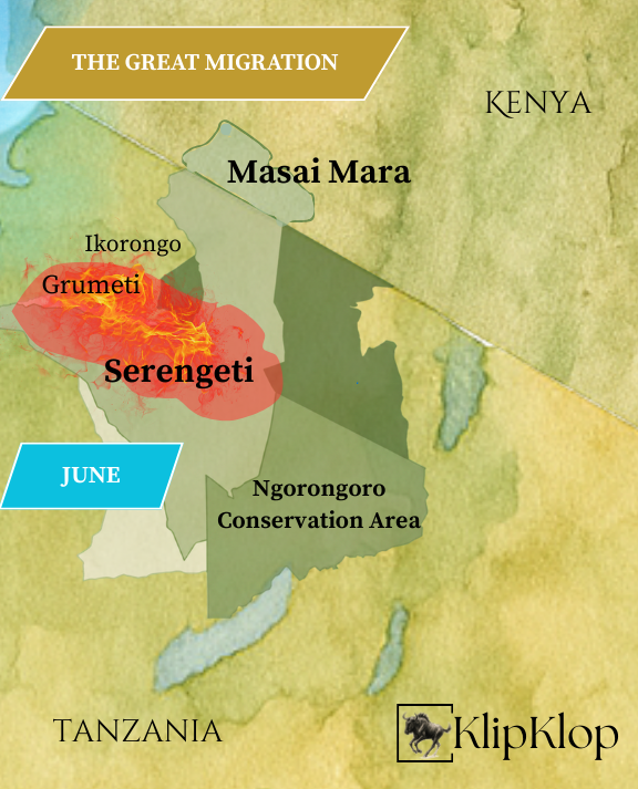 06 Great Migration Serengeti June