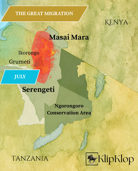 07 Great Migration Serengeti July