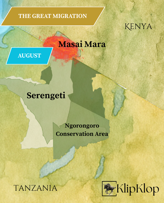 08 Great Migration Serengeti August