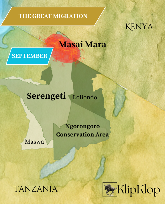 09 Great Migration Serengeti Sept
