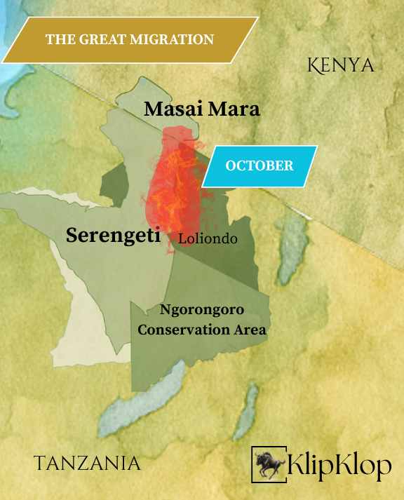 10 Great Migration Serengeti October