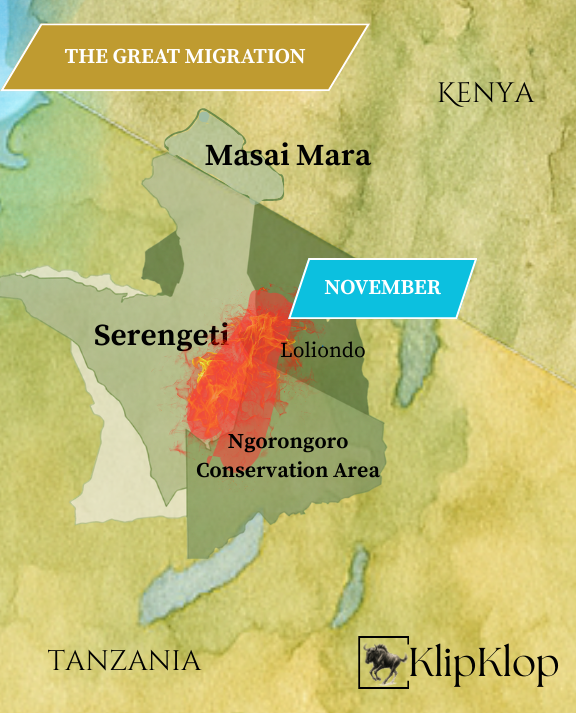 11 Great Migration Serengeti November