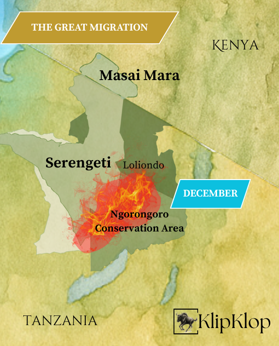 12 Great Migration Serengeti December
