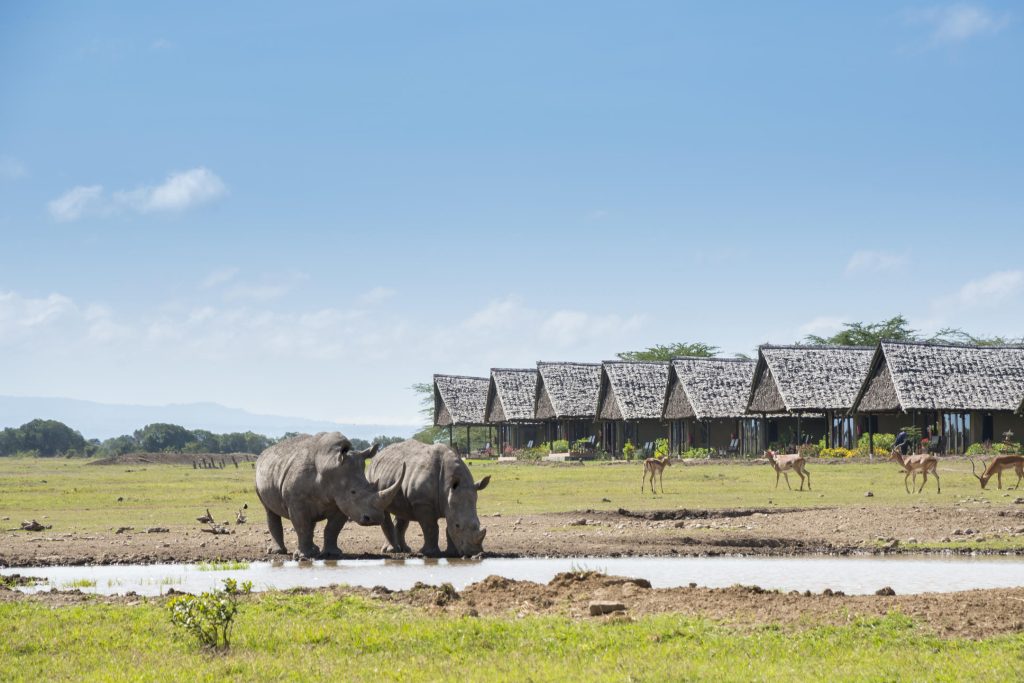 Sweetwaters Serena Camp Watering Hole with Rhinos