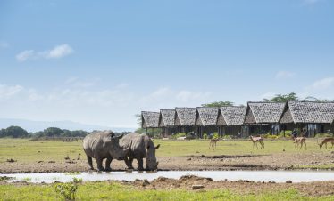 Sweetwaters Serena Camp Watering Hole with Rhinos