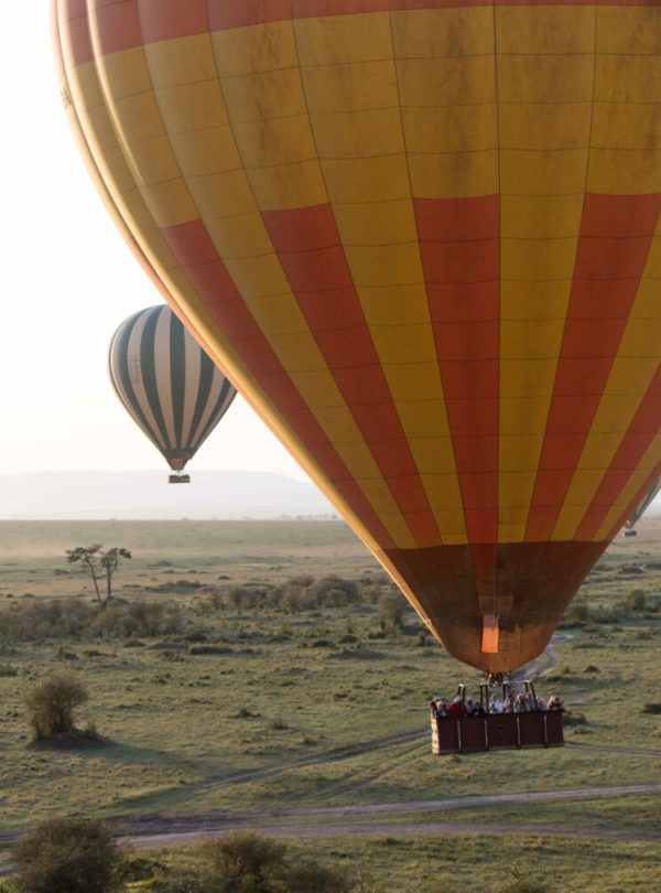 Hot Air Balloon Serengeti