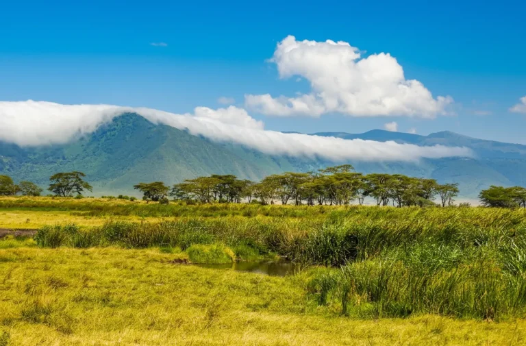 Ngorongoro Crater