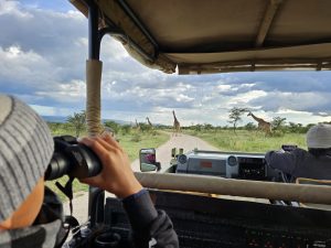 Open Safari Vehicles Views