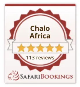 Reviews Chalo Africa