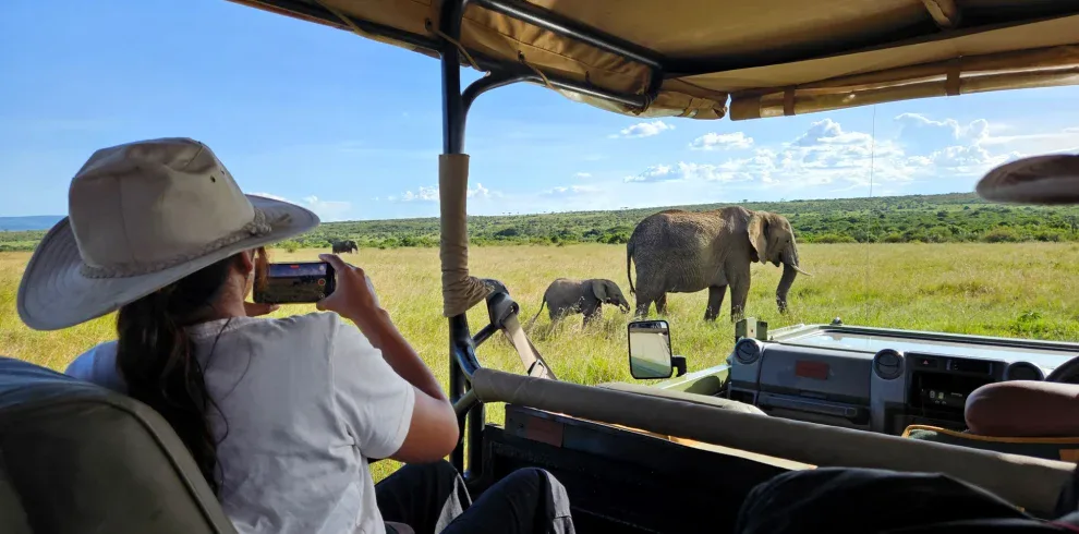 Elephants in the Masai Mara