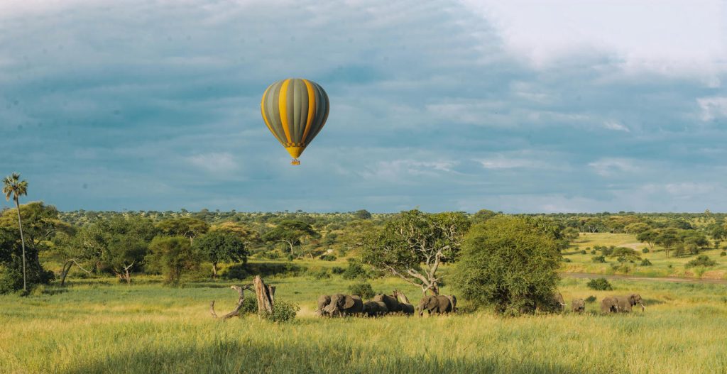 Balloon Safari
