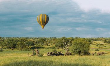 Balloon Safari