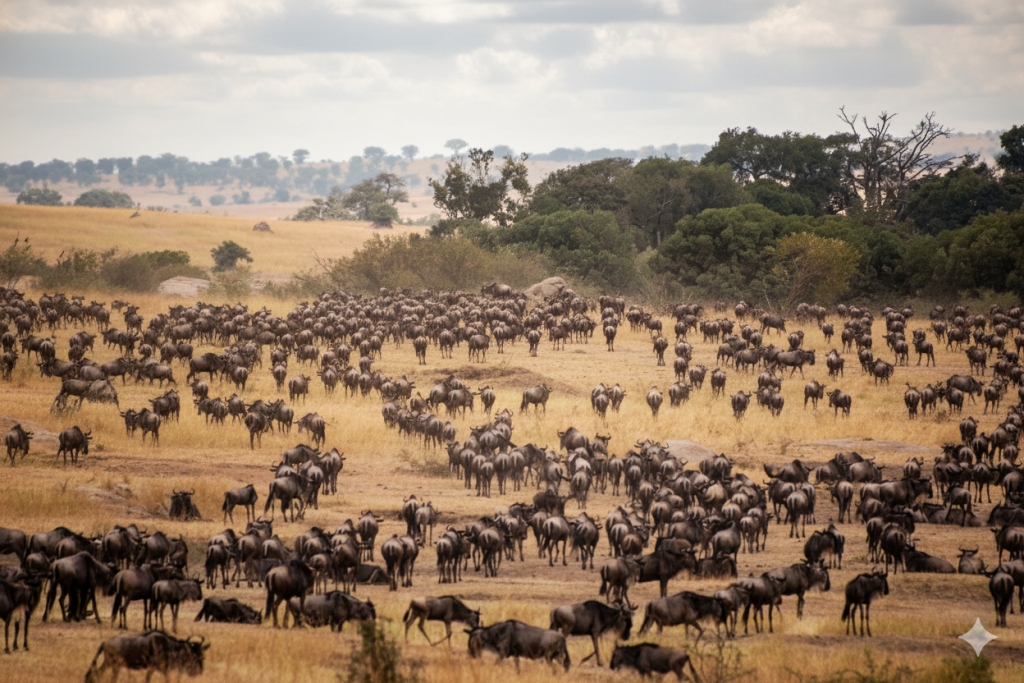 Western Serengeti Crater Explorer