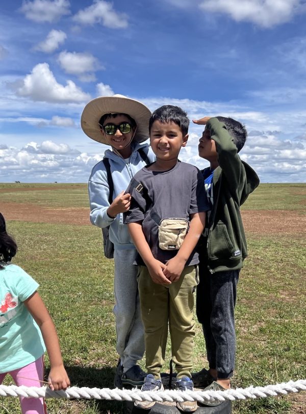 Family Safaris Africa