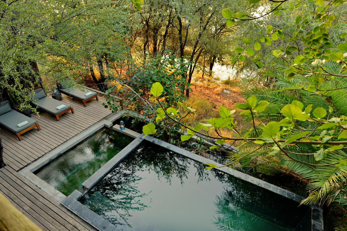 Chobe Bakwena Lodge Pool