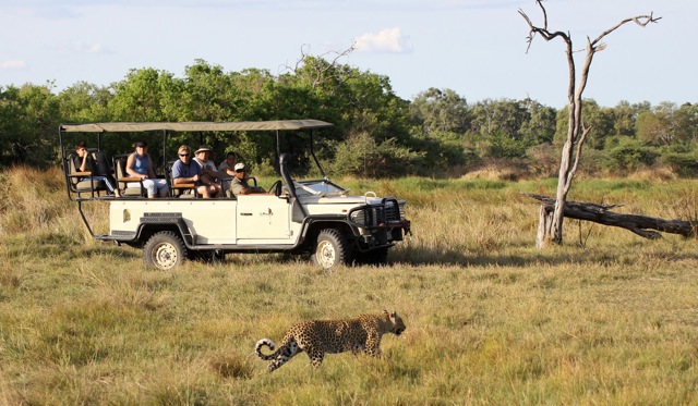 Game Drive